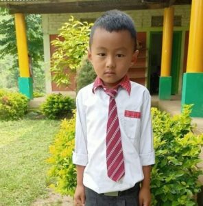 A young boy wearing a tie and standing in front of some bushes.