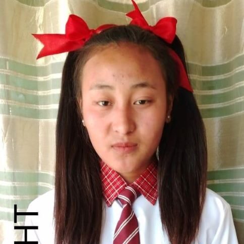 A young girl with long hair and red bow tie.