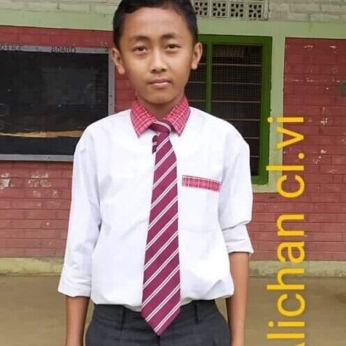 A young boy wearing a tie and pants.