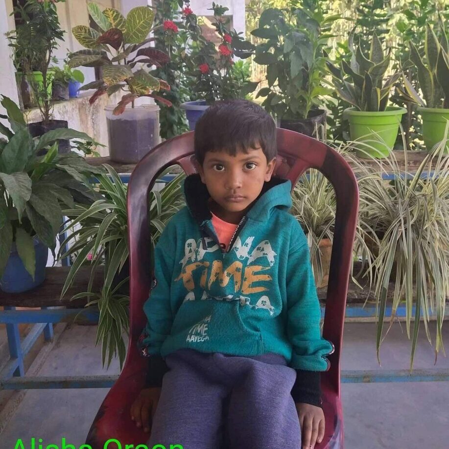 A boy sitting in a chair with plants around him.