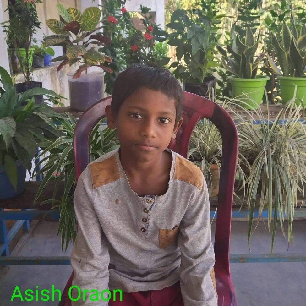 A young boy sitting in a chair with plants behind him.