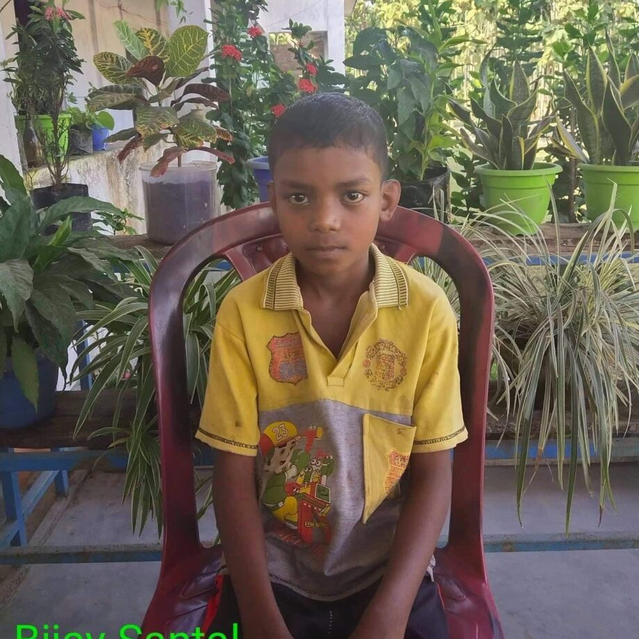 A boy sitting in a chair with plants around him.