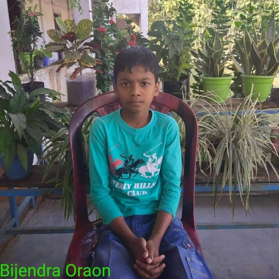 A young boy sitting in a chair with plants behind him.