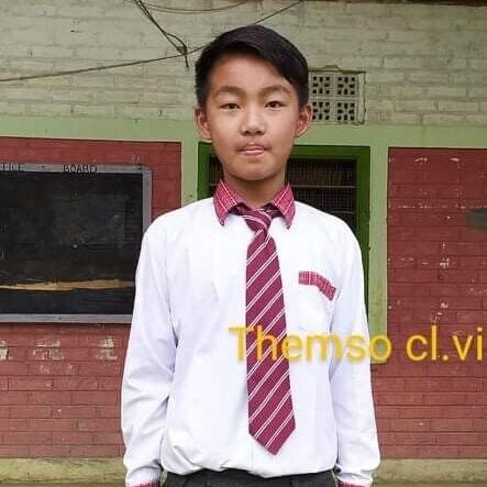 A young man wearing a tie and shirt.
